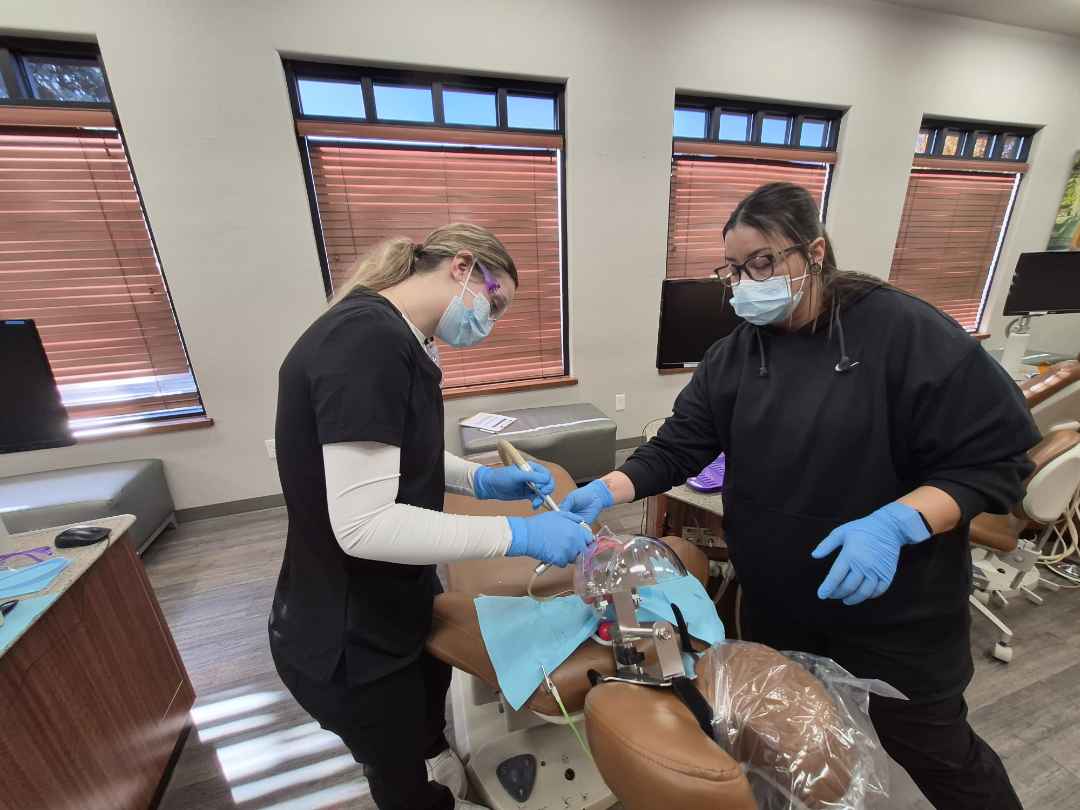 Dental students in action.
